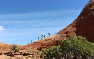 Case Studies 12 Website Redesign – Moab Cliffs & Canyons, Professional Guide Services