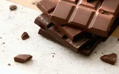 Case Studies 4 Boosting E-Commerce Sales with Targeted Google Ads Optimization : Primal Cacao