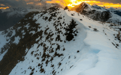 Home Page 2 Why Google’s AI Overviews Are Reshaping Keyword Strategy