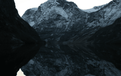 The Great Data Recalibration: Why Visibility Metrics Don’t Tell the Whole Story Anymore