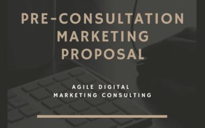 Blog 8 Get to Know My Process With The Pre Consultation Proposal PDF
